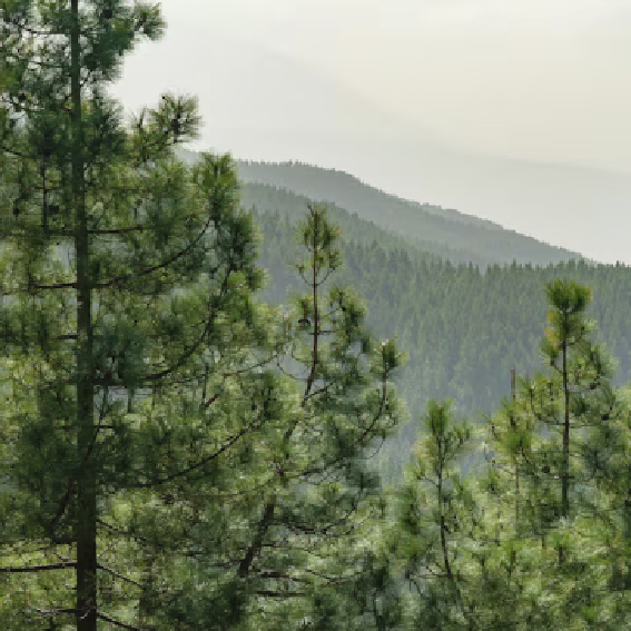 Great Products Begin with Great Environments