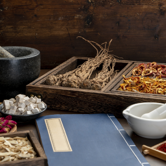 The Roots of Wellness